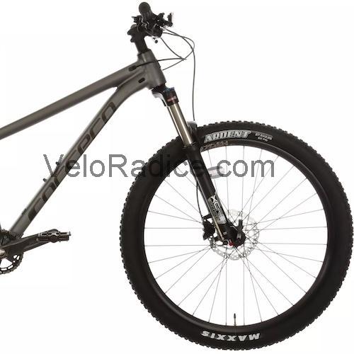 Carrera Sulcata scheda tecnica e recensioni